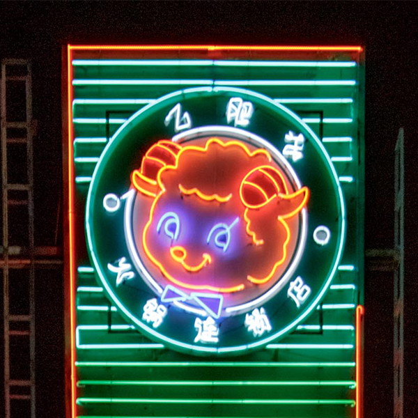 sheep neon